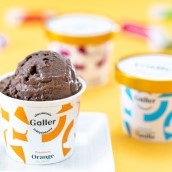 【送料無料】ガレープレミアムアイスクリーム８個セット アイス