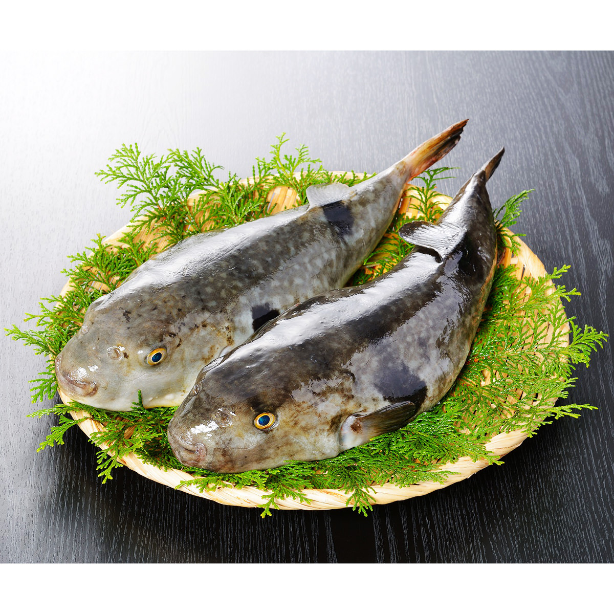 真ふくたたき刺身と真ふく個食鍋 セット 約2人前 真ふぐ寄せ鍋 真ふぐたたき刺身 皮 塩辛 薬味 関とら本店 藤フーズ 産直お取り寄せのニッポンセレクト Jre Mall