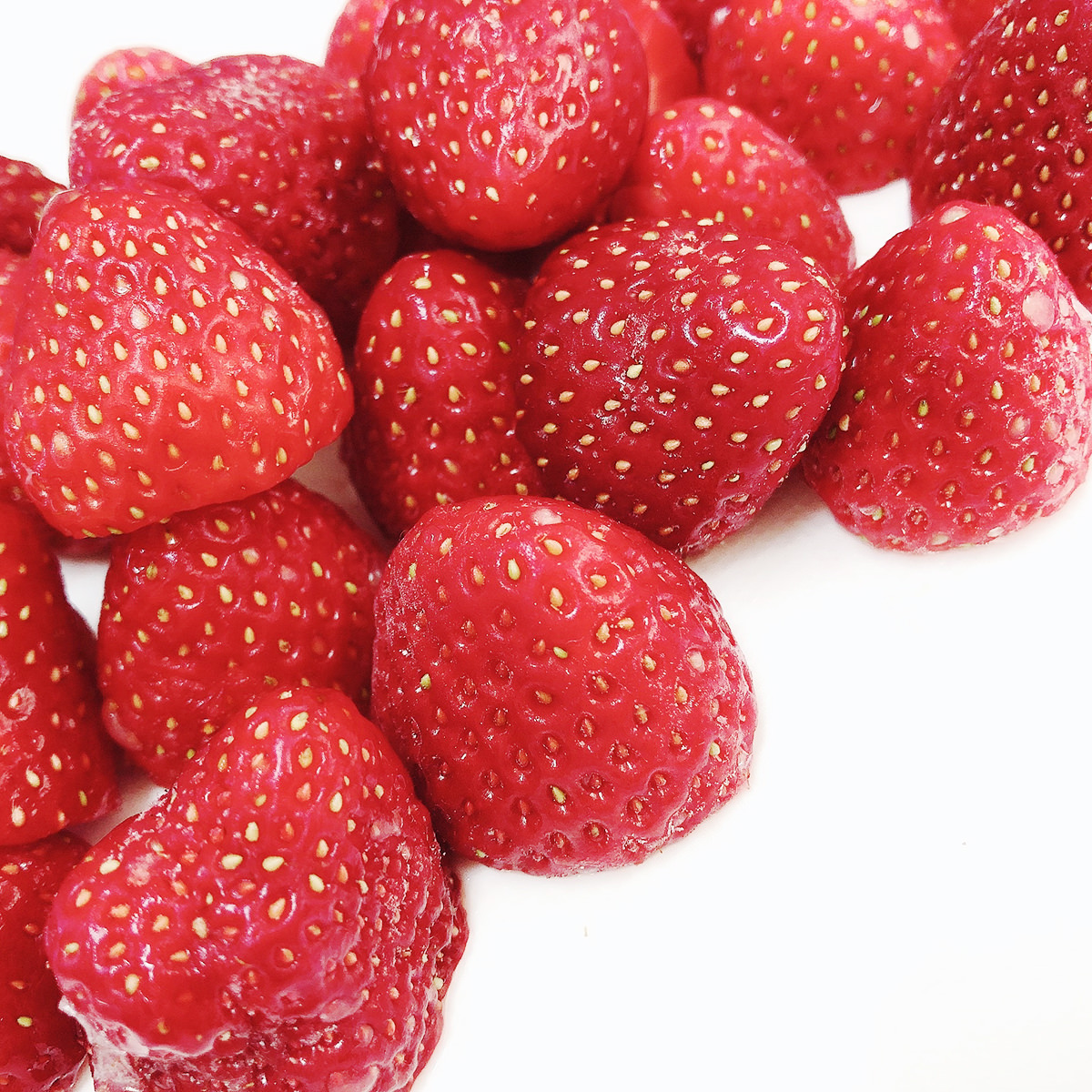 送料無料 冷凍いちご 完熟苺 500g 2 冷凍 フルーツ いちご 国産 宮城 イグナルファーム 産直お取り寄せのニッポンセレクト Jre Mall