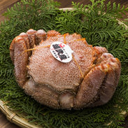 雄武産特上毛蟹（560ｇ）　蟹蔵　成瀬 北海道 希少価値の高い流氷明けの堅毛蟹をオホーツクから直送。