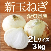 【送料無料】生でも美味しい 辛みが少なくやわらかい 愛知県産新玉ねぎ〔2Lサイズ3kg〕
