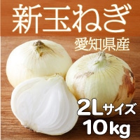 【送料無料】生でも美味しい 辛みが少なくやわらかい 愛知県産新玉ねぎ〔2Lサイズ10kg〕