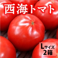 【送料無料】天然の美味しさがぎゅっと凝縮 長崎県産高糖度トマト 西海トマト〔Lサイズ3kg×2箱〕