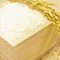 【送料無料】白神山水金陵米 〔5kg〕 米 秋田 こまち食品工房