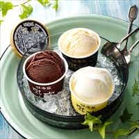 乳蔵北海道アイスクリーム 9個セット 〔(プレミアムバニラ、チョコレート、クリームチーズ)各90ml×3〕 アイスクリーム 洋菓子