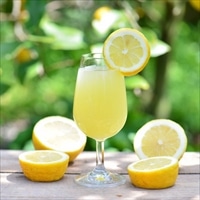 送料無料 MIKADO LEMON Sparkling lemon sake 化粧箱入 〔750ml〕 リキュール お酒