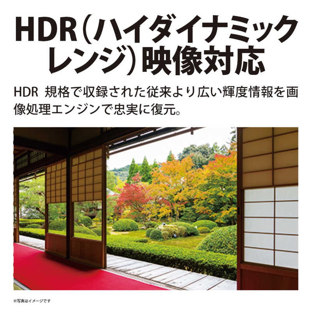 送料無料 SHARP 42インチ 4K シャープ 液晶テレビ AQUOS 4T-C42DH1[42V