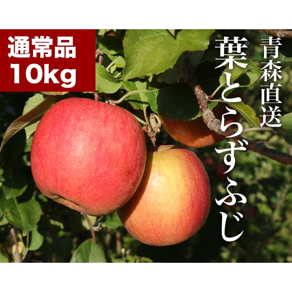  RED APPLE X 12{菇o tƂ炸ӂ 10kg  ь ʕ t[c Mtg {