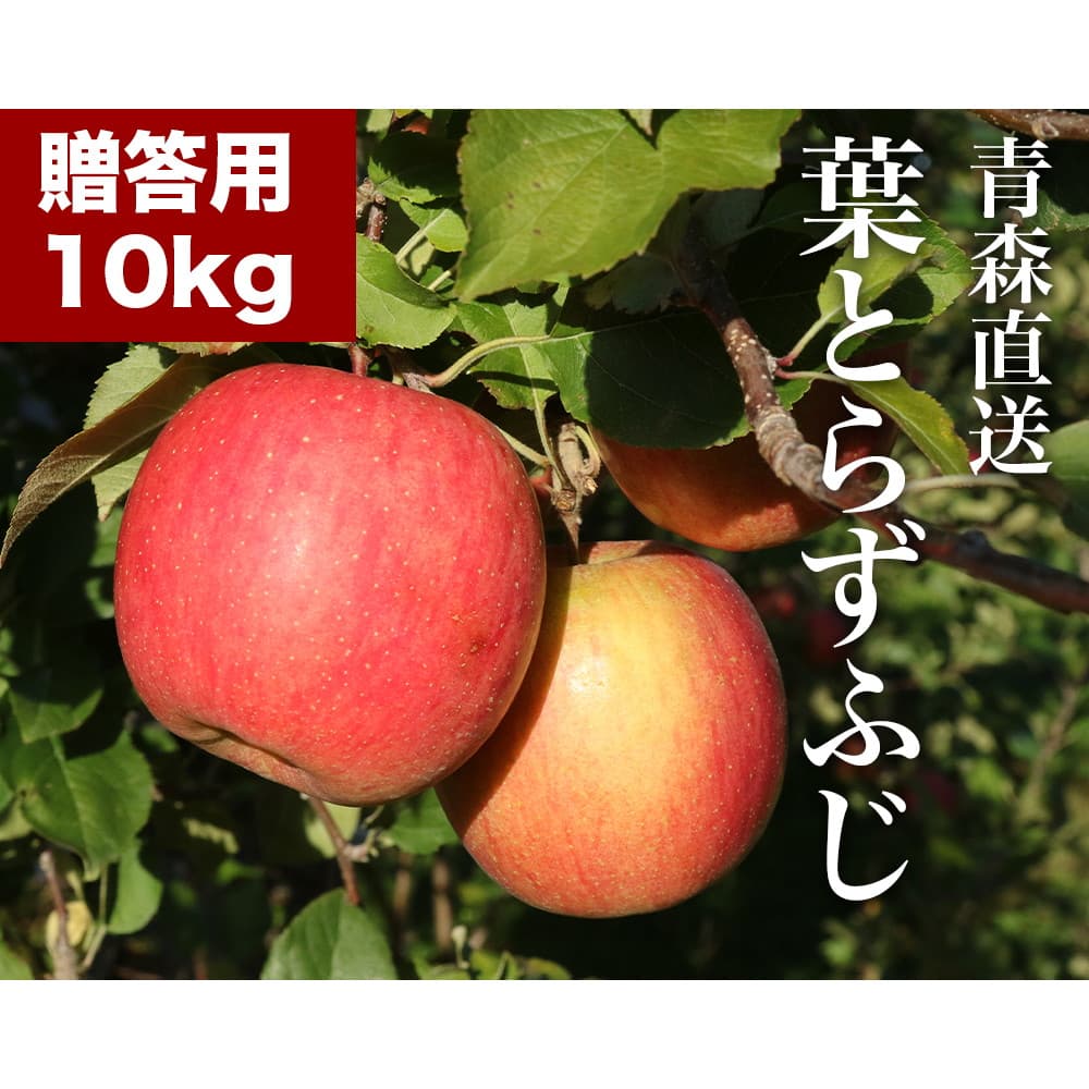  RED APPLE X 12{菇o tƂ炸ӂ p 10kg  ь ʕ t[c Mtg {