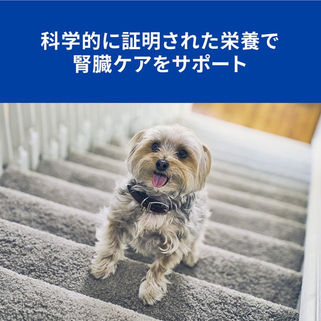 ヒルズ 犬用 K D 370g缶 アイリスプラザ Jre Mall ヒルズ 犬用 K D 370g缶 アイリスプラザ Jre Mall