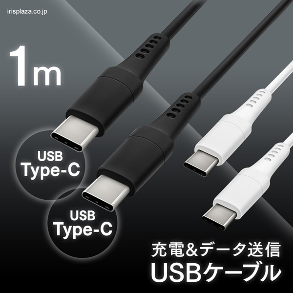 s䂤pPbgtUSB-C to USB-CP[u 1m ICCC-A10-W zCg