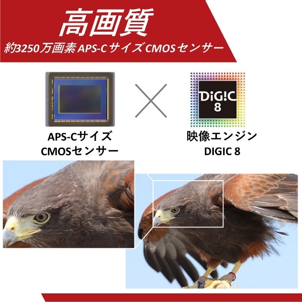 EOS 90D デジタル一眼レフカメラ 18-135 IS USM レンズキット