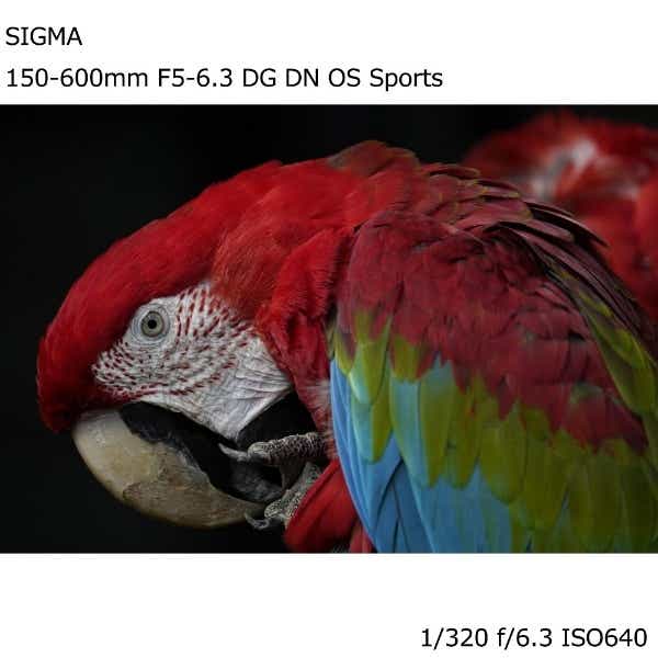 カメラレンズ 150-600mm F5-6.3 DG DN OS Sports ソニーEマウント