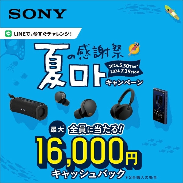Sony LinkBuds ワイヤレスステレオヘッドセット グレー №245