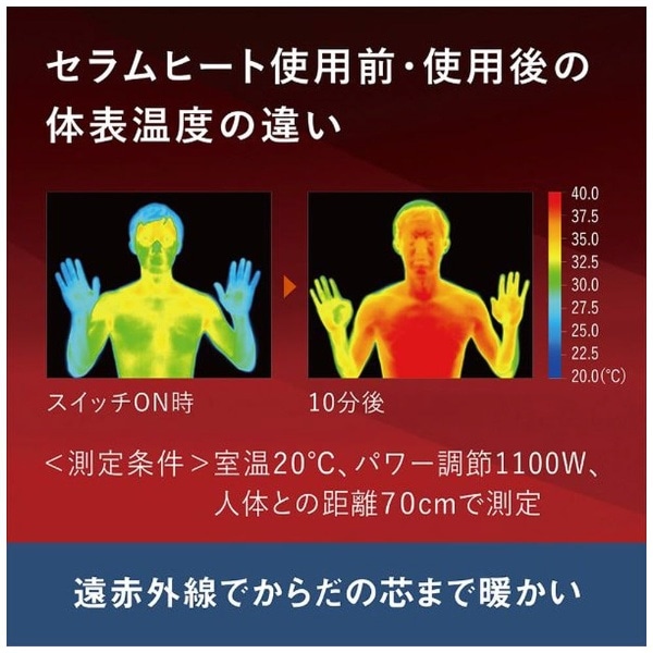遠赤外線暖房機 セラムヒート ブラウン ERFT11ZS-T [シーズヒーター