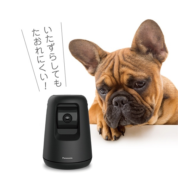 ホームネットワークシステム HDペットカメラ ブラック KX-HDN215-K