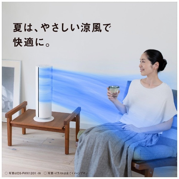 リモコン付きナノイーX搭載ファンヒーター Hot&Cool ホワイト DS