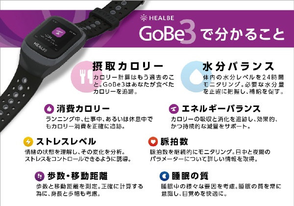 HEALBE GoBe3（ヒールビーゴービー3） バーガンディ HGB3-BY-BK(レッド
