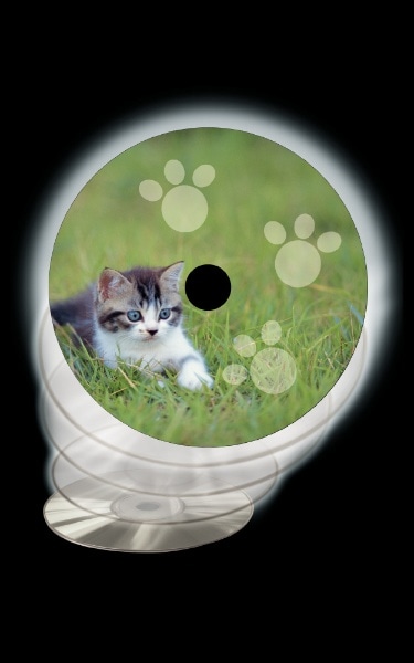 Cd Dvdラベル インクジェット専用タイプ ホワイト 50シート 2面 光沢 ホワイト ビックカメラ Jre Mall Cd Dvdラベル インクジェット専用タイプ ホワイト 50シート 2面 光沢 ホワイト ビックカメラ Jre Mall