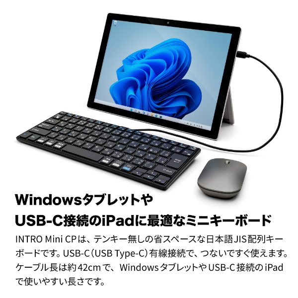 キーボード Usb C Pd 搭載 Intro Mini Cp Ipados Ios Mac Windows11対応 ブラック As Pkmp85j Bka 有線 Usb Type C ブラック ビックカメラ Jre Mall