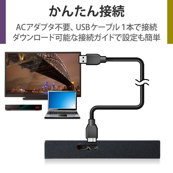 ELP-GTV010UBK 外付けHDD USB-A接続 テレビ録画向け Windows11対応