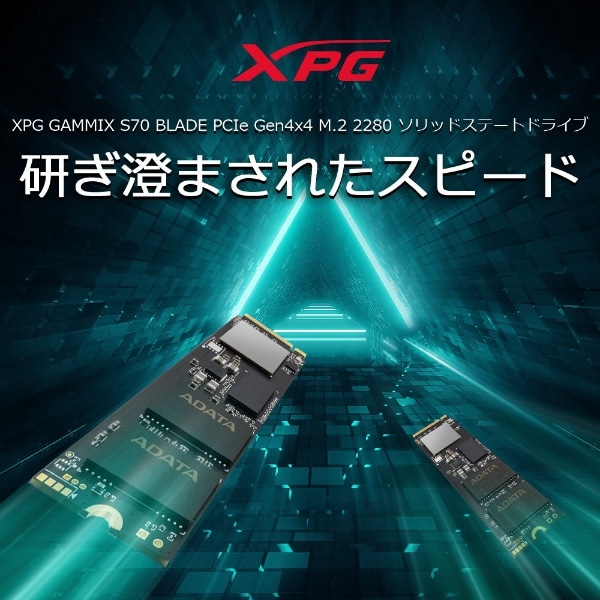AGAMMIXS70B-2T-CS 2TB SSD M.2 2280