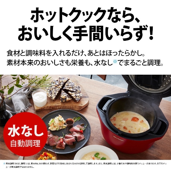 KN-HW24GR 水なし自動調理鍋 HEALSIO(ヘルシオ)ホットクック レッド