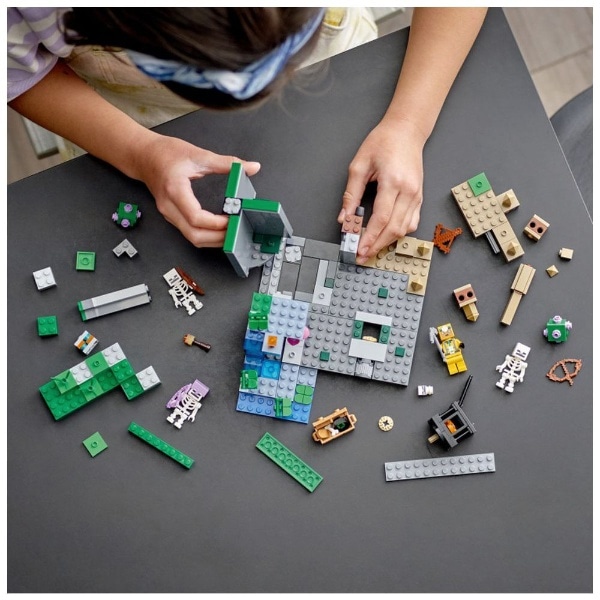 LEGO（レゴ） 21189 マインクラフト スケルトンの洞窟(21189ｽｹﾙﾄﾝﾉﾄﾞｳ