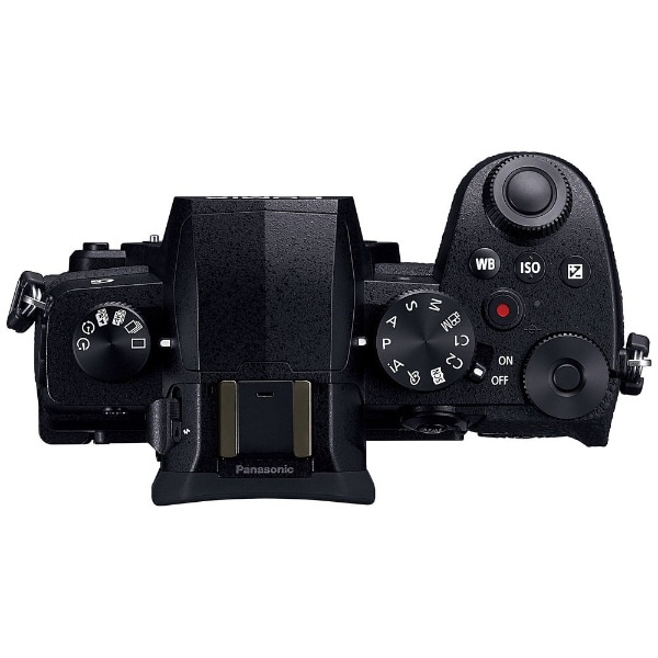 LUMIX G99D ミラーレス一眼カメラ ブラック DC-G99D-K [ボディ単体