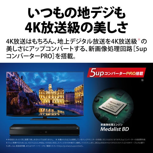 ブルーレイレコーダー AQUOSブルーレイ 4B-C20EW3 [2TB /2番組同時録画