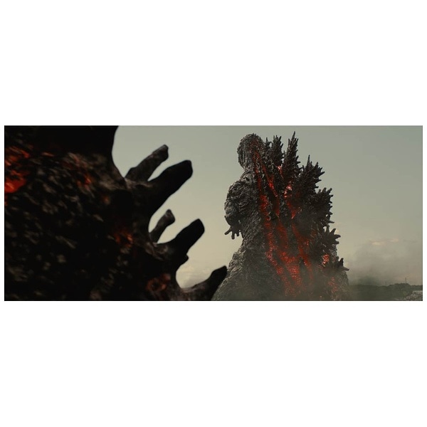 シン ゴジラ Blu Ray2枚組 ブルーレイ ソフト ｼﾝｺﾞｼﾞﾗﾌﾞﾙﾚｲﾃﾞｨｽ ビックカメラ Jre Mall