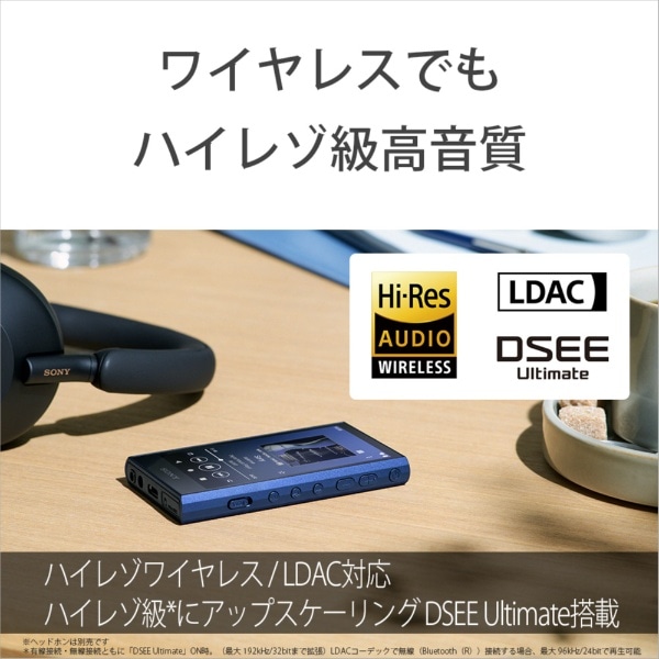 ウォークマンWALKMAN2023年モデル ブルー NW-A306 LC [ハイレゾ対応 ...