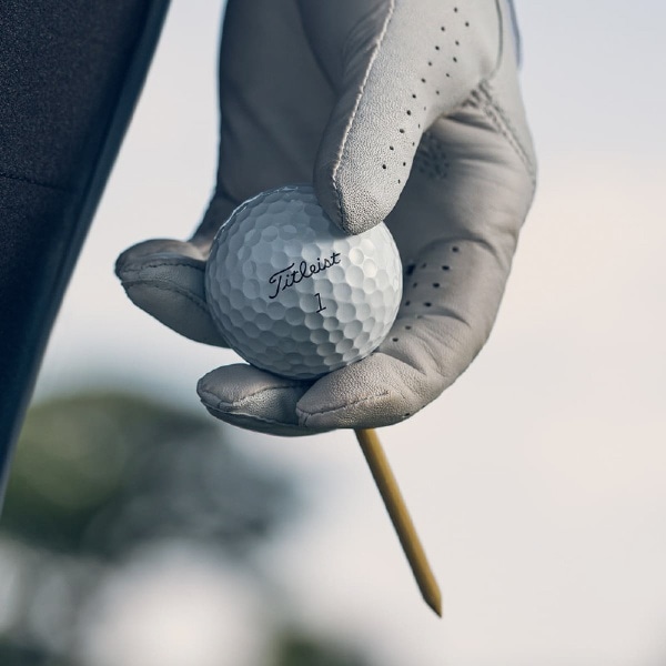 ゴルフボール PRO V1《1ダース(12球)/ホワイト・ダブルナンバー