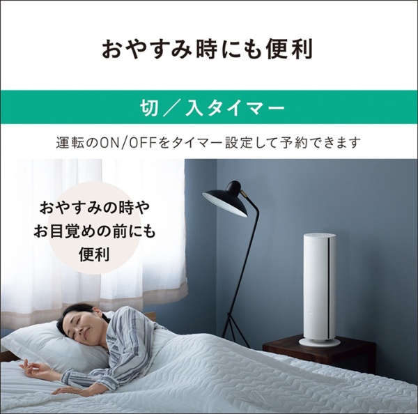 リモコン付ナノイーX搭載ファンヒーター Hot&Cool ホワイト DS