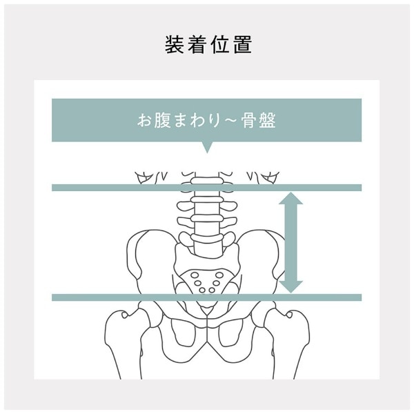 姿勢サポート Lumbar Active(ランバーアクティブ) Style(スタイル