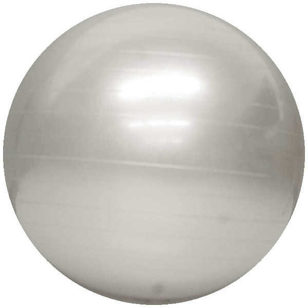 バランスボール YOGA BALL(シルバー/φ55cm) LG-315