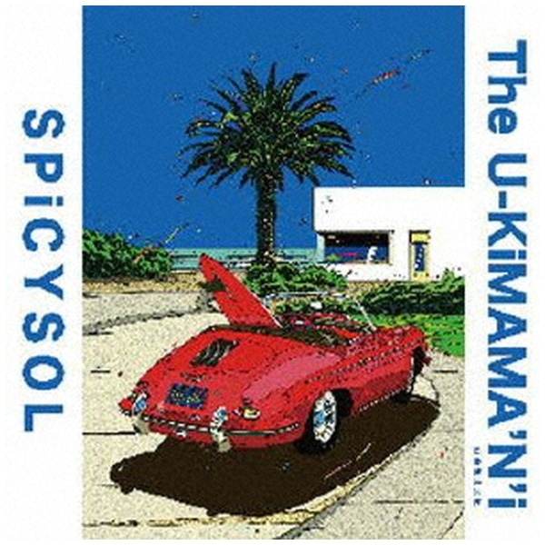 SPiCYSOL Mellow Yellow アナログレコード シティポップ