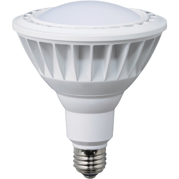 ハタヤ LED作業灯 20W交換球電球色広角タイプ LDR20L-H110(LDR20L-H110): ビックカメラ｜JRE MALL