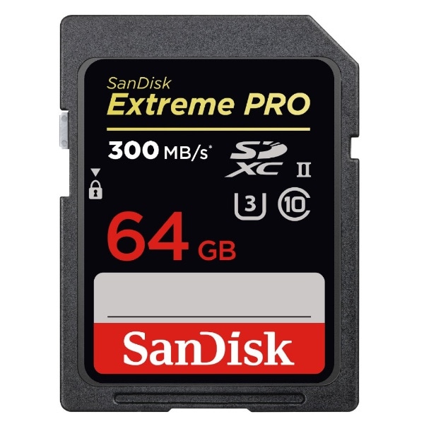 SANDISK　SDSDXDK-064G-JNJIP [64GB]