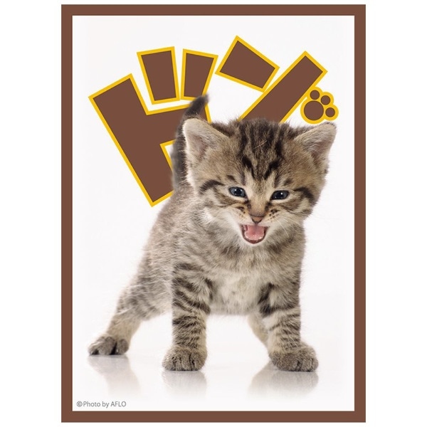 23年1月 ブロッコリーキャラクタースリーブ 子猫 リバイバル 発売日以降のお届け ｷｬﾗｽﾘｰﾌﾞｺﾈｺﾘﾊﾞｲﾊﾞﾙ ビックカメラ Jre Mall