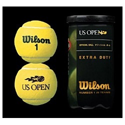 テニスボール USオープン・エクストラ・デューティ 　1缶(イエロー/2個入り)
