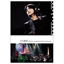ZARD/What a beautiful moment yDVDz yzsz