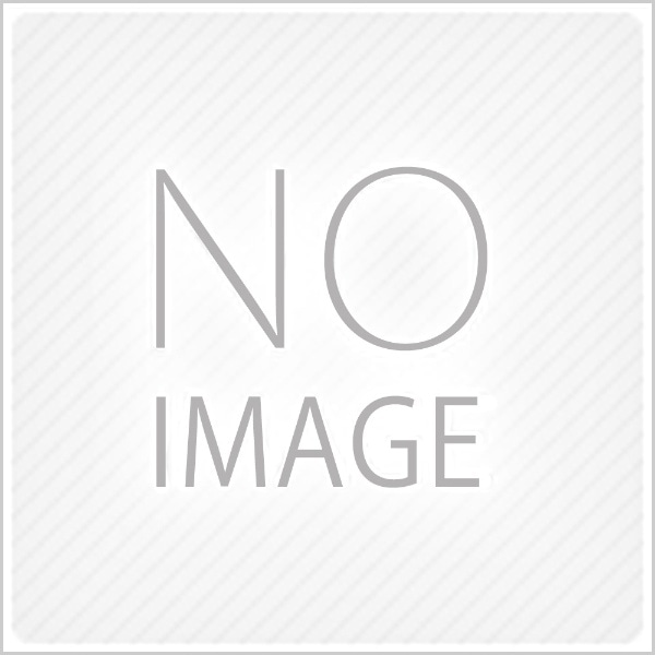 アンダーワールド2 エボリューション コレクターズ・エディション 【DVD】 【代金引換配送不可】