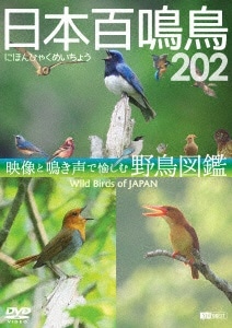 VtHXgDVDF{S 202 HD/nCrWfƖŖޖ쒹} Wild Birds of Japan HDyDVDz yzsz