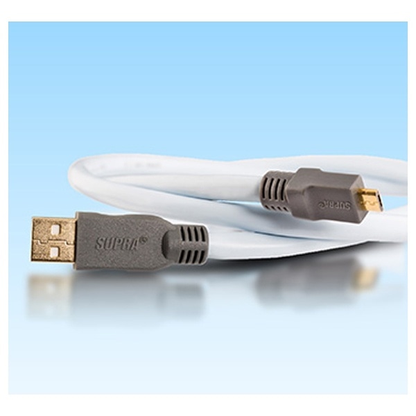 最大81%OFFクーポン サエクコマース USBケーブル 3.0m SUS-380