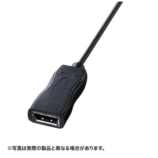 fϊA_v^ [USB-C IXX DisplayPort] ubN AD-ALCDP01[ADALCDP01]