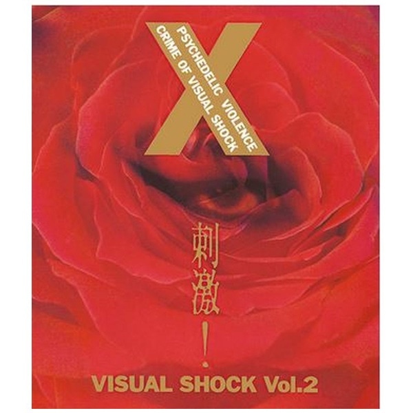 X/ hI VISUAL SHOCK VolD2yu[Cz yzsz