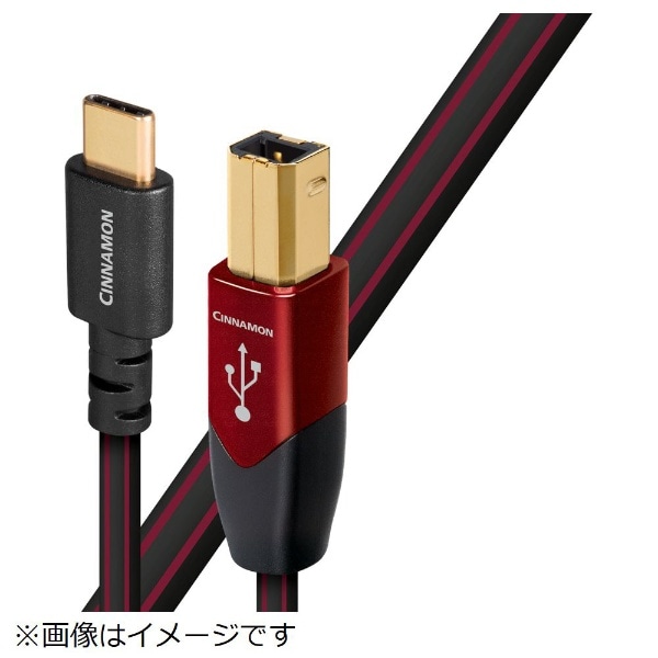 USBP[u USB2/CIN/0.75M/CB