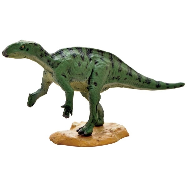 FDW-211 ミニモデル フクイサウルス