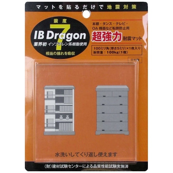TM3006 ͑ϐk}bg  IB Dragon